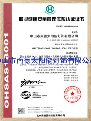 九游会J9职业健康安全管理体系认证证书
